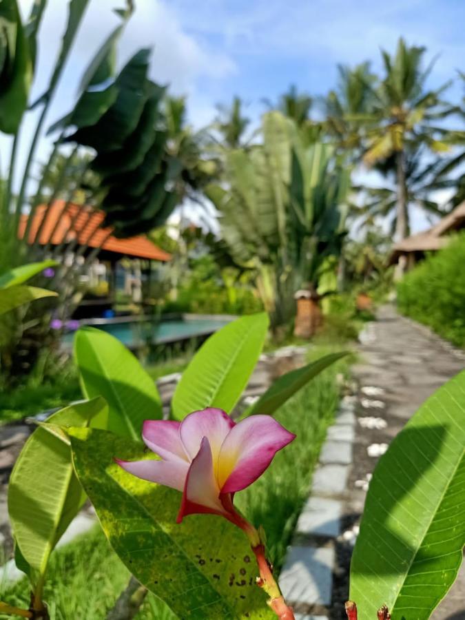 Taman Bintang Villa Ubud Екстер'єр фото
