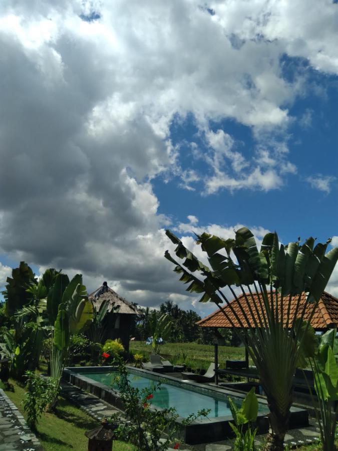 Taman Bintang Villa Ubud Екстер'єр фото