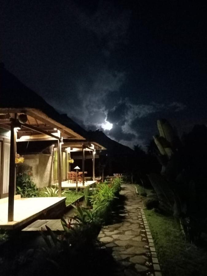Taman Bintang Villa Ubud Екстер'єр фото