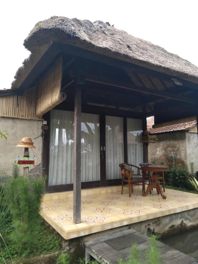 Taman Bintang Villa Ubud Екстер'єр фото