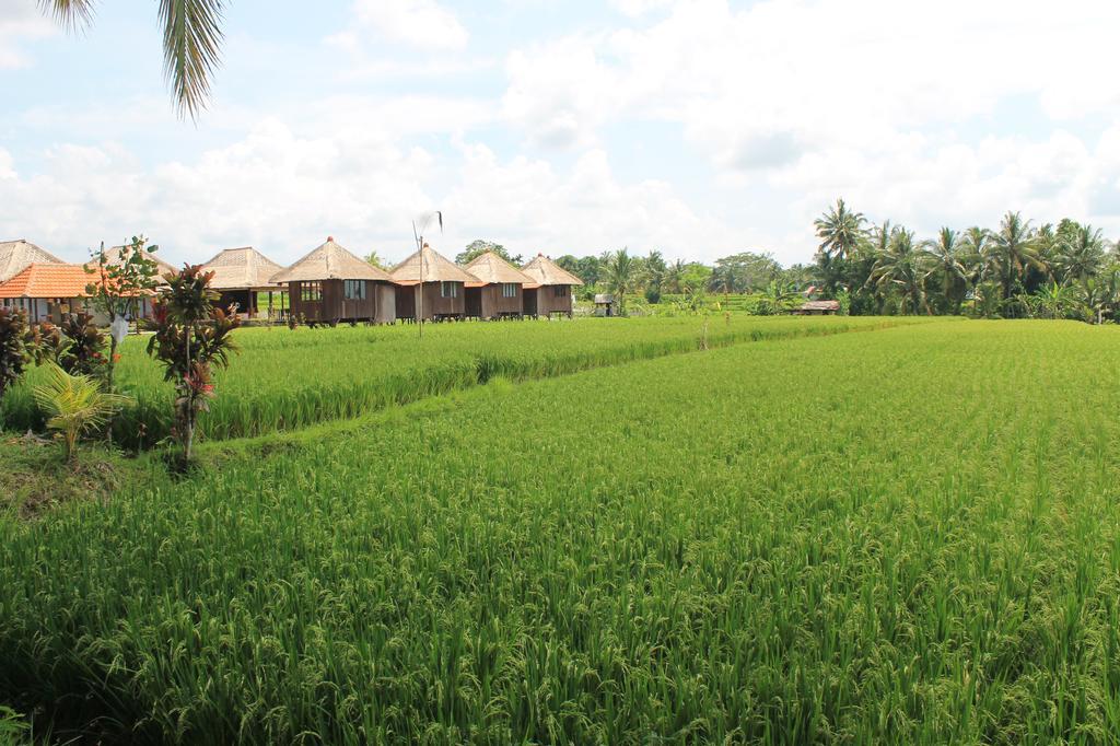 Taman Bintang Villa Ubud Екстер'єр фото